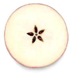 Apple sliced across, revealing a pentagram