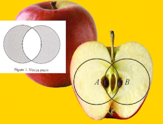 Apple sliced lengthwise, revealing a vesica piscis