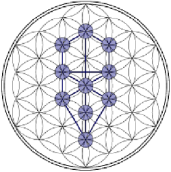 The Tree of Life within the Flower of Life